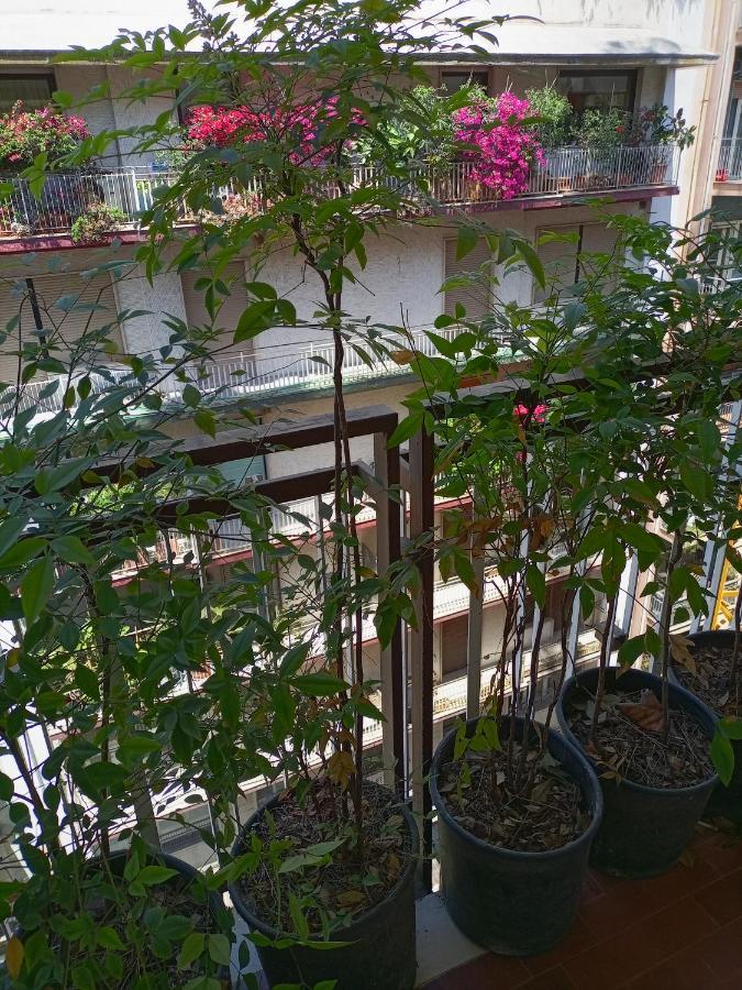 Gianna House Apartment Bari Bagian luar foto